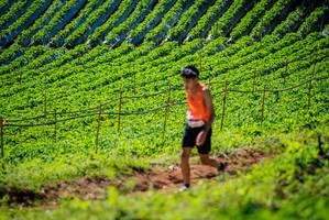 BIB: 
                            <button type="button" onclick="openModal(19161555)" class="btn btn-primary btn-sm float-right btn-popup" data-toggle="modal" data-target=".modal-high-quality">
                        <i class="fas fa-shopping-cart"></i> Add to Cart
                    </button>
                                            <button type="button" onclick="isThisMe(19161555, true)" class="btn btn-success btn-sm float-right btn-popup btn-isme hidden" data-toggle="tooltip" data-placement="bottom" title="นี่คือรูปของคุณใช่ไหม คลิกที่นี่เพื่อเอาเข้าอัลบั้ม">
                        <i class="fas fa-plus"></i> Add to album
                    </button>
                    <button type="button" onclick="isThisMe(19161555, false)" class="btn btn-warning btn-sm float-right btn-popup btn-isnotme hidden">
                        <i class="fas fa-ban"></i> Remove from album
                    </button>